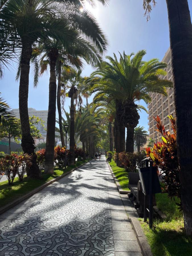 Estudio-Szl Puerto de la Cruz  Exteriör bild