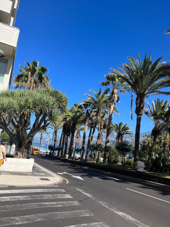Estudio-Szl Puerto de la Cruz  Exteriör bild