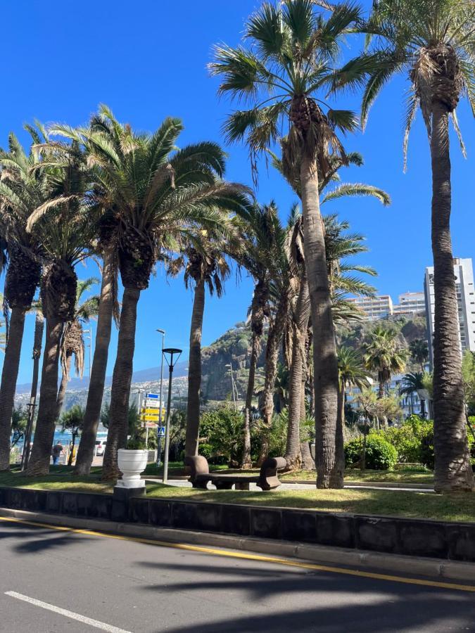 Estudio-Szl Puerto de la Cruz  Exteriör bild
